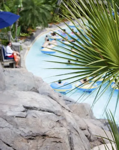 Lifeguard Management Companies near me